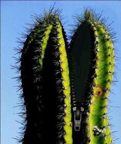 拉链广告的另类创意[组图]